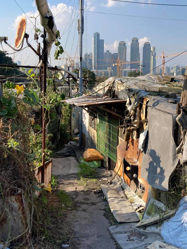 イカゲーム」が浮き彫りにした韓国の残酷なまでの格差社会 半地下やバラックで暮らす貧困層には日々の生活がイカゲーム 3 4JBpressジェイビープレス