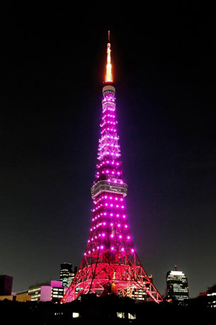 写真3 4東京タワー、スカイツリー、清水寺がピンクにライトアップ「ピンクリボン イルミネーション」 -
