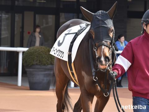 アーニャのドキドキワクワクのミッションを紹介。「SPY×FAMILY OPERATION DIARY」の第1弾PVが公開に