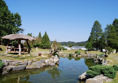 済州海岸道路ヘアンドロ済州島観光スポット・ハナビツアー