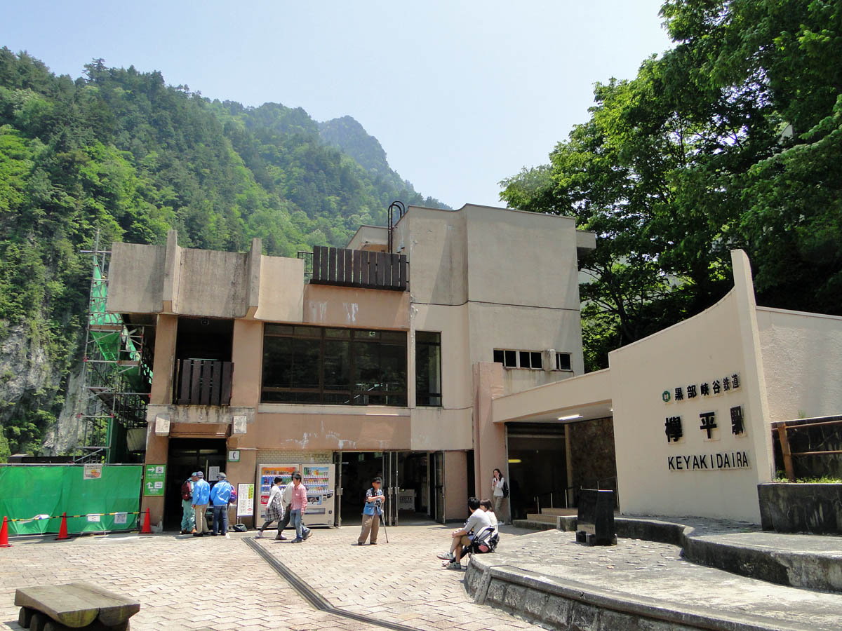 欅 けやき の漢字を拡大表示