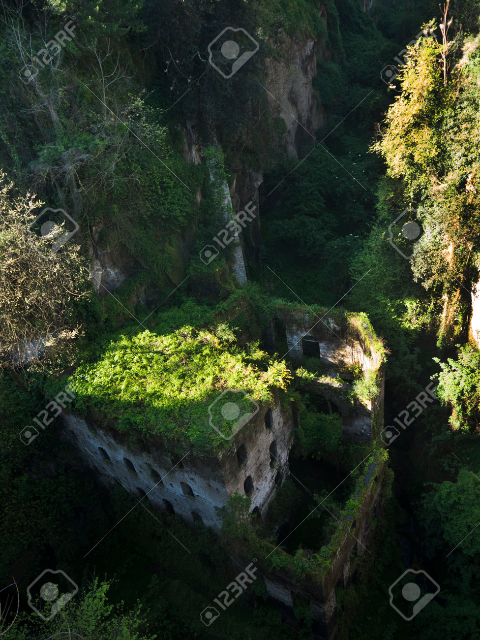 遺跡の古いイタリアのソレントにある峡谷の工場の写真素材・画像素材 Image 56749675