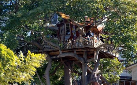 カフェがじゅまるの木沖縄市ランチメニュー公式ホームページ – ゆとりす