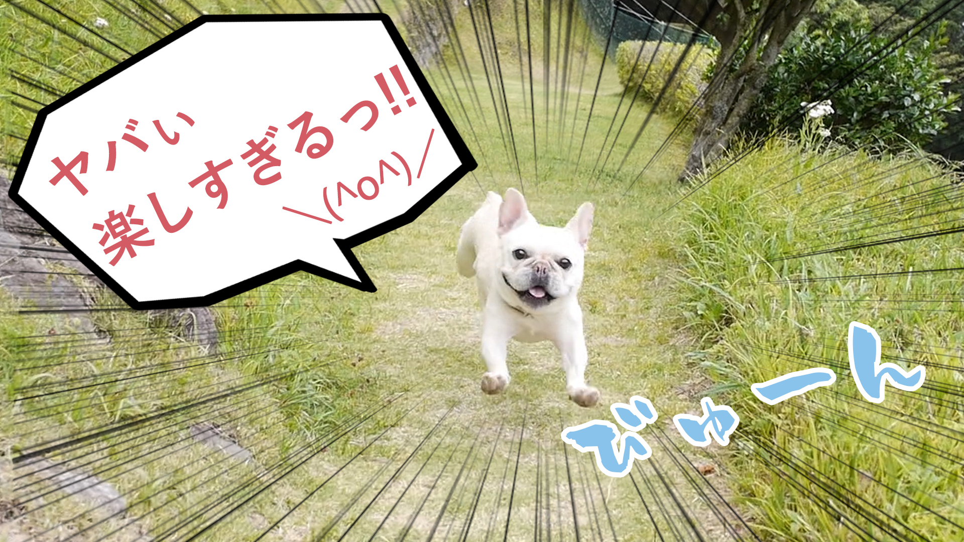 伊豆高原ビールうまいもん処 ペット同伴席！伊豆高原ビールうまいもん処伊豆高原ビール 伊豆旅行伊豆グルメ 伊東温泉