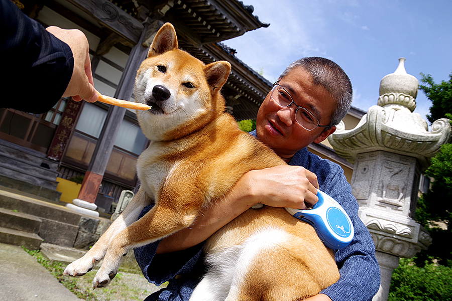 新潟県 新潟駅・新潟空港から佐渡島への行き方離島ガイド