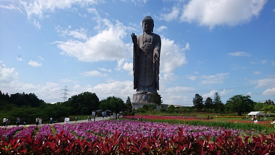 牛久大仏に行ったらいくらかかりますか
