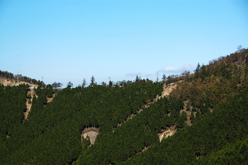 絶景ロード大台ヶ原ドライブウェイ －奈良県ー -