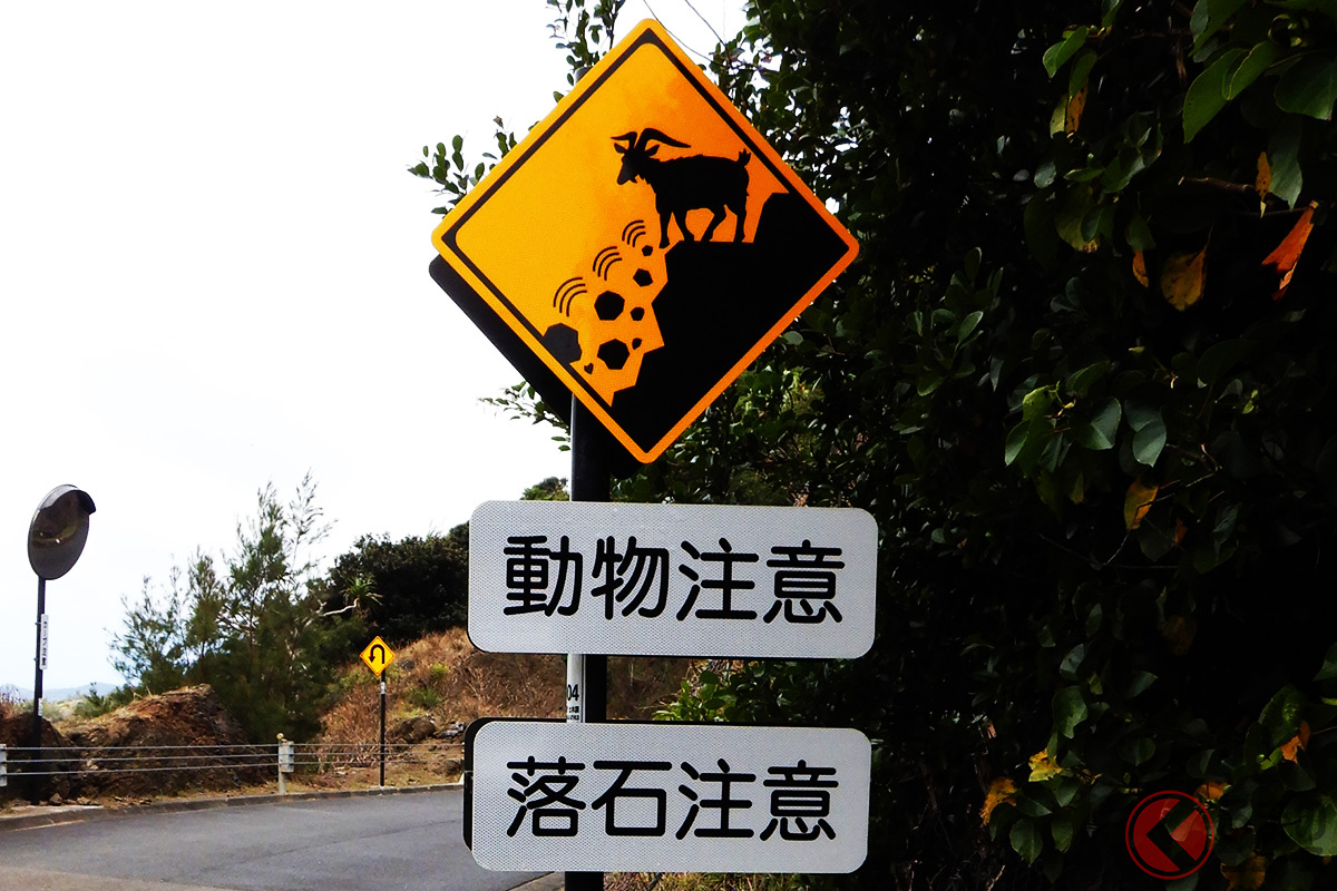 落石に注意しましょう - 人と車の安全な移動をデザインするシンク出版株式会社