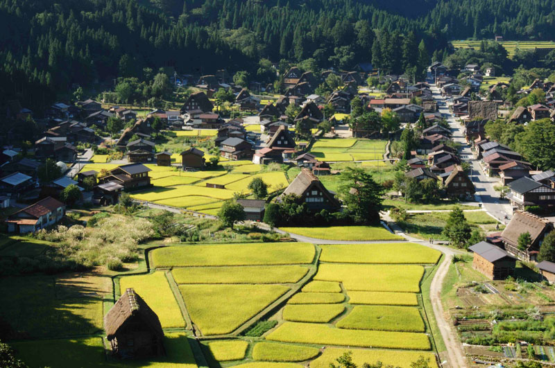 合掌造り集落・白川郷ぶらり～京女のひとり旅23地域の風・京都
