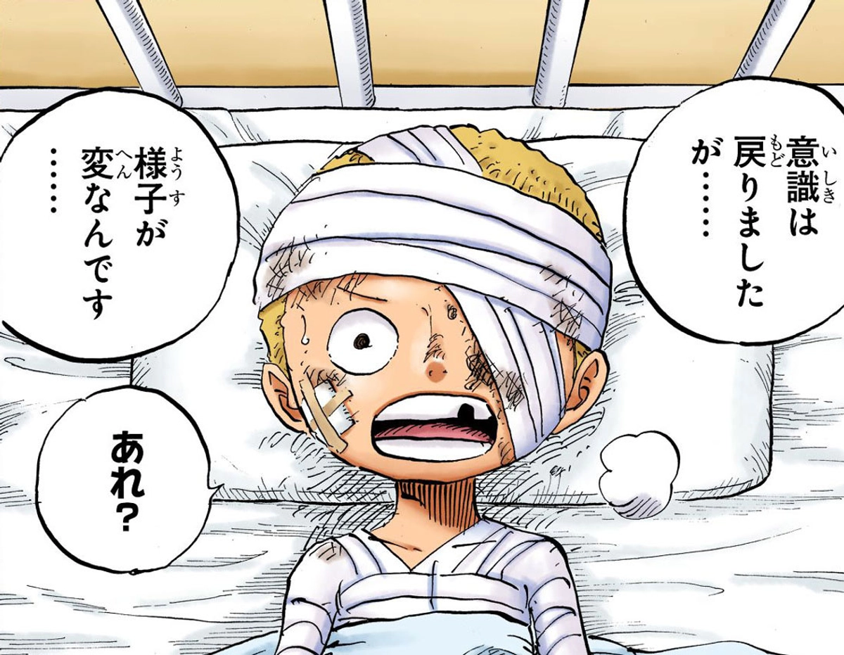 盃兄弟」のアイデア 16 件ルフィ かわいい,