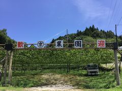 新豊田駅周辺の観光スポットこころから