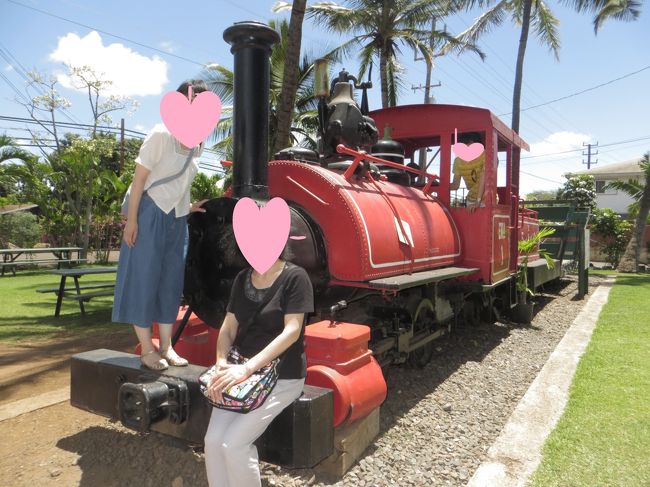 サトウキビ列車と高架路線｢新旧ハワイ鉄道｣の今 ホノルルの新規開業後､マウイ島では山火事海外東洋経済オンライン