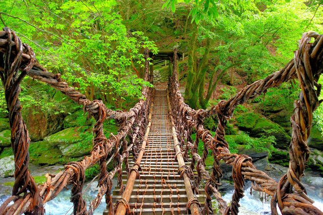 日本最長420mのつり橋を歩いて渡ったりバンジージャンプしたりできる「GRAVITATE OSAKA」に一足先に行ってきたよレポート -GIGAZINE