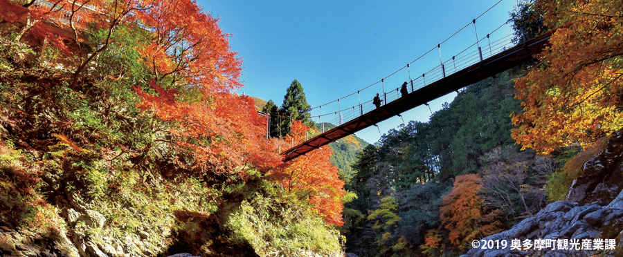 吊り橋を渡ろう。 奥多摩むかし道の途中の「しだくら吊橋」は、建設から50年以上経っています。そのため一度に乗れる人数は2人と制限があります。しかしその 吊り橋から眺める景色は絶景そのもの。奥多摩散策の際には是非立ち寄りたいスポットです。 しだくら吊橋