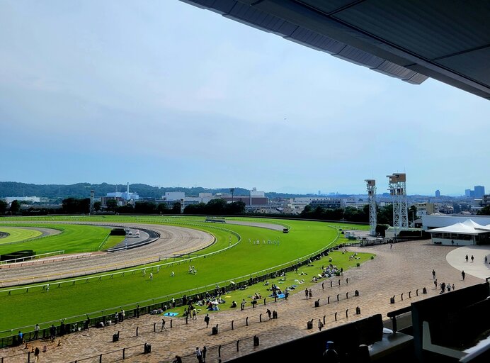 モデル厩舎拝見、放馬対策「円城寺→薬師寺」移転は26年度末完了岐阜新聞デジタル