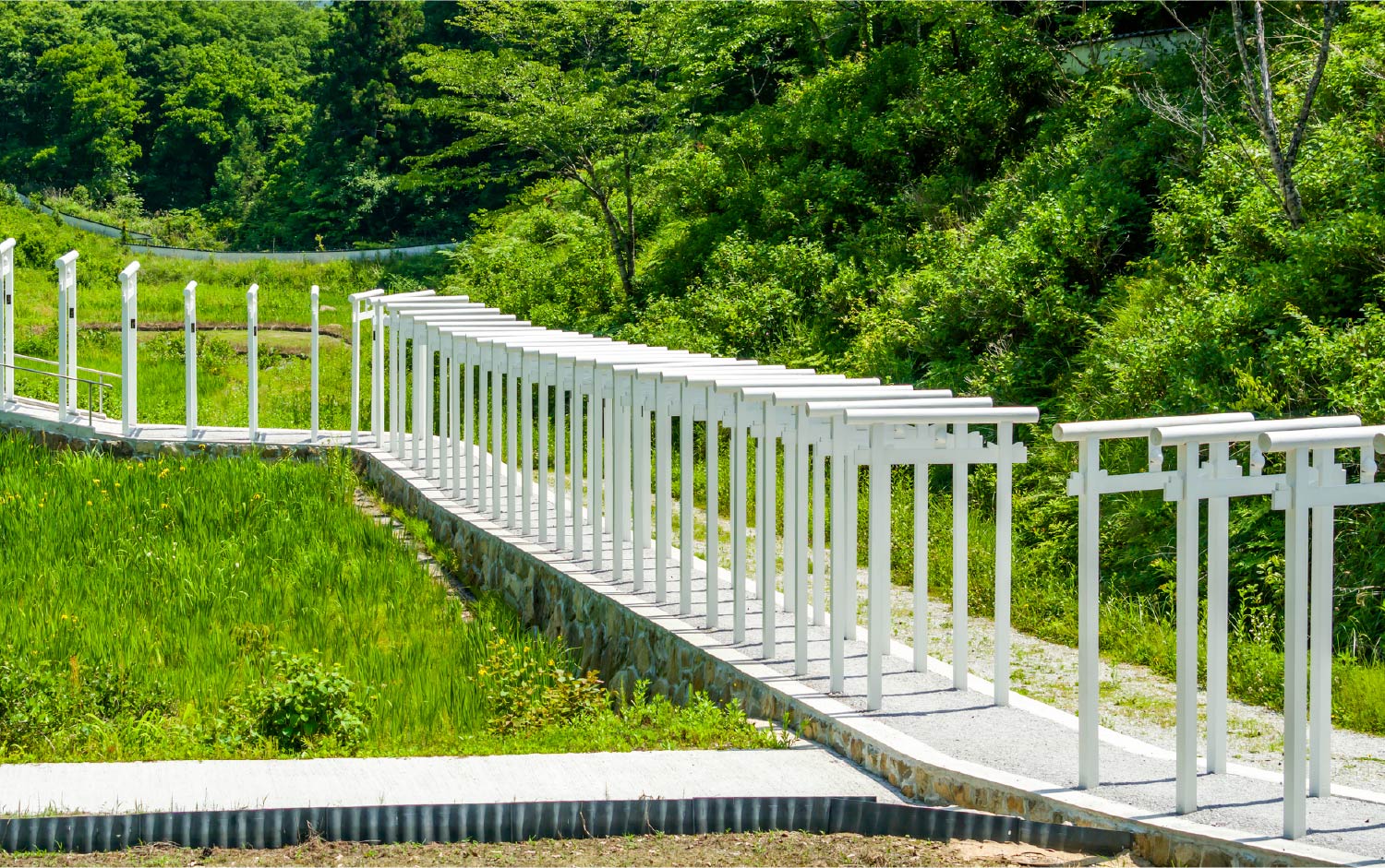 済渡寺 アクセス・営業時間・料金情報 - じゃらんnet