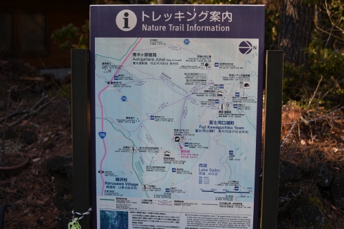 2022 青木ヶ原樹海 禁断の樹海横断ダートで紅葉探索 ２日目