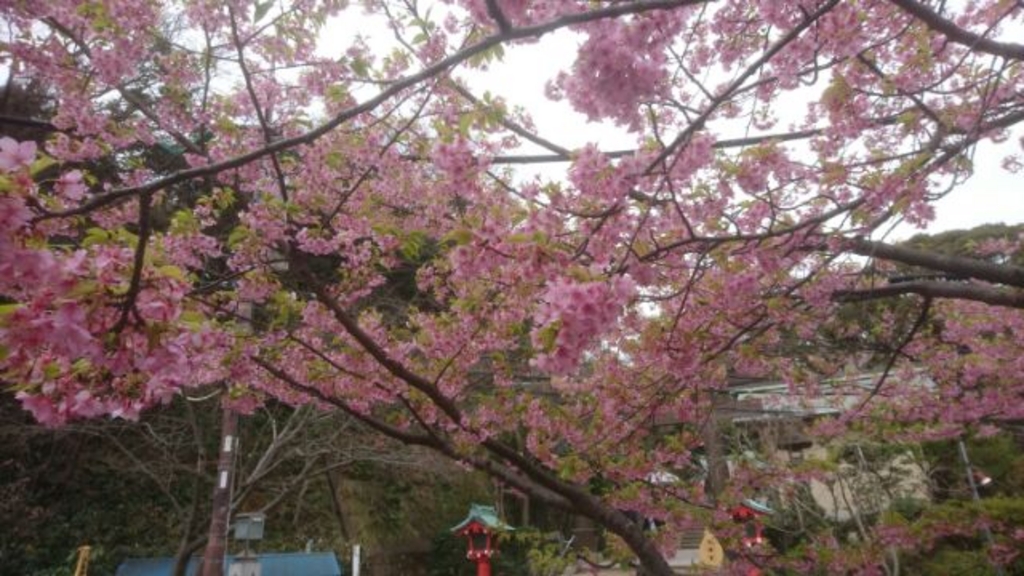 辻堂観光で外せないおすすめスポット12選！モデルコースも紹介NEWT ニュート