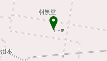 沼木温泉 辻ヶ花 山形市 のサウナ飯 -