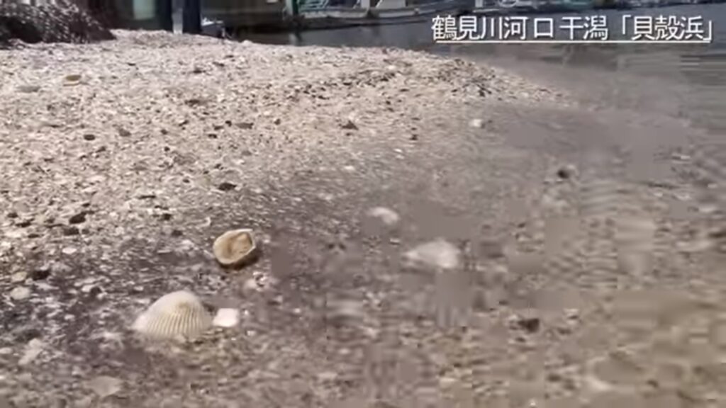 鶴見川河口で釣れたアジの釣り・釣果情報 - アングラーズ釣果600万件の魚釣り情報サイト
