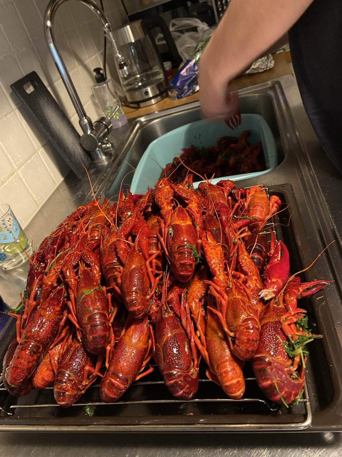 新品未開封 カムトゥフィンランド◇ペーパーナプキン：ザリガニパーティー - メルカリ