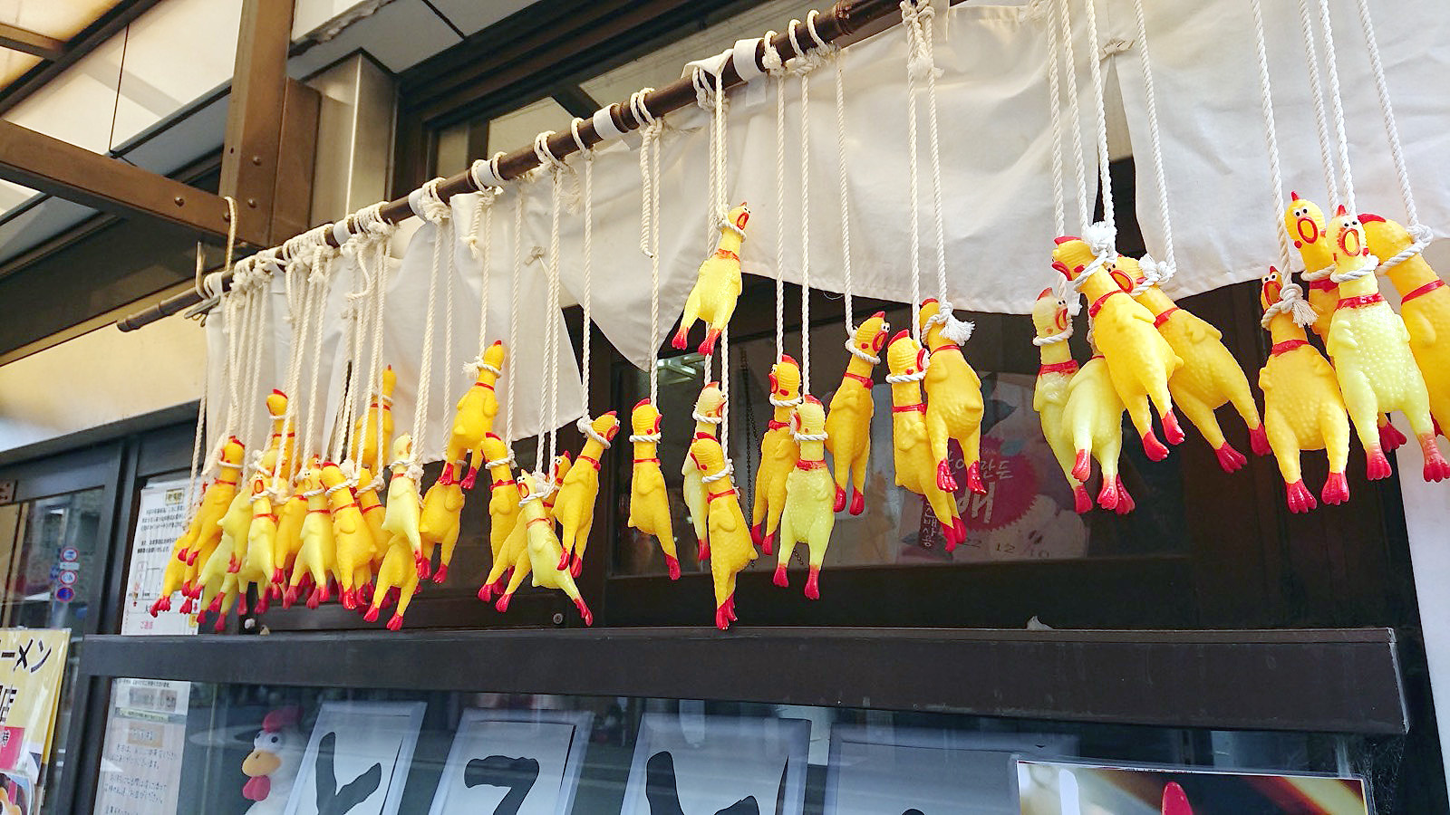 店名が可愛い とことんとりコトコト ！まるで鶏をそのまま食べているような濃厚鶏白湯スープが素晴らしい