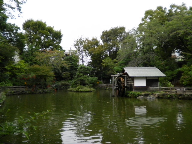 2025年 鍋島松濤公園 - 出発前に知っておくべきことすべて -