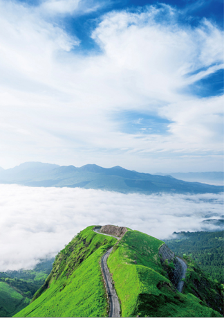 ラピュタの道☆悲惨な姿に胸が痛む : 自転車百景