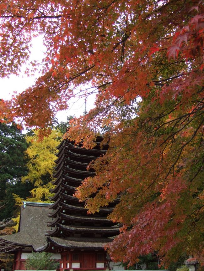 三輪明神・大神神社、談山神社、聖林寺への探椿紀 - 京で椿を楽しむセカンドライフ