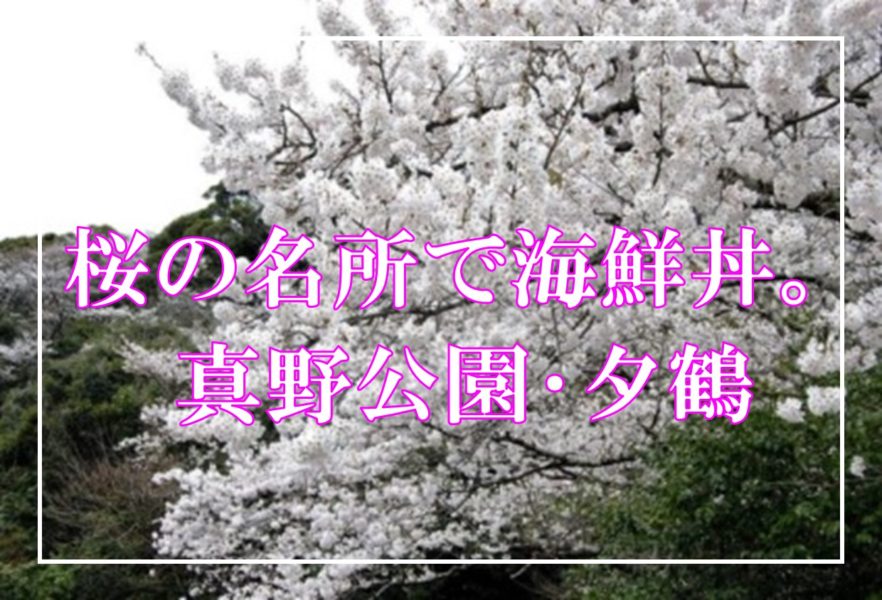 真野御陵新潟の観光スポット 公式 新潟県のおすすめ観光・旅行情報！にいがた観光ナビ