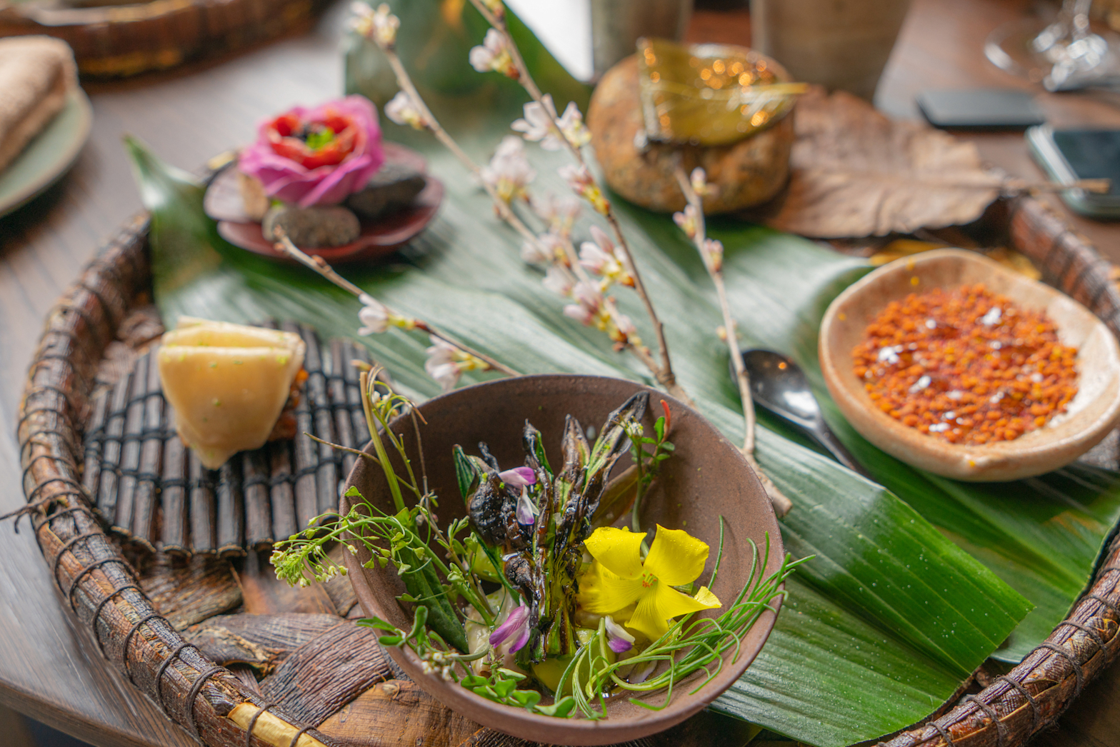 世界一予約の取れないレストランが日本へ上陸！ 1席約13万円の「ノーマ noma 京都」での未知なる食体験に圧倒される食べログマガジン