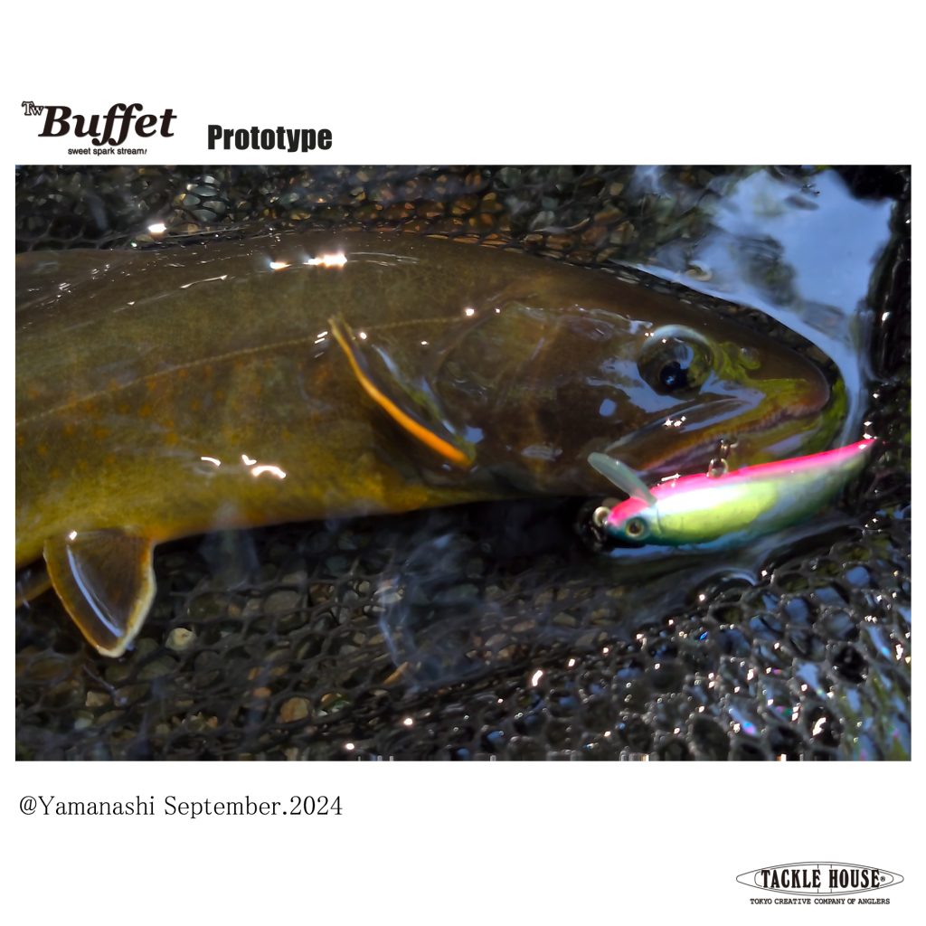 和歌山県 和歌山の釣り船 エサ船・ジギング船 を元釣具屋が紹介しますTSURI HACK