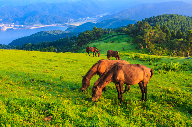 すぐ行ける、非日常の大パノラマ『ご当地絶景』改訂版全国7点を5 28発売2025年5月20日- エキサイトニュース
