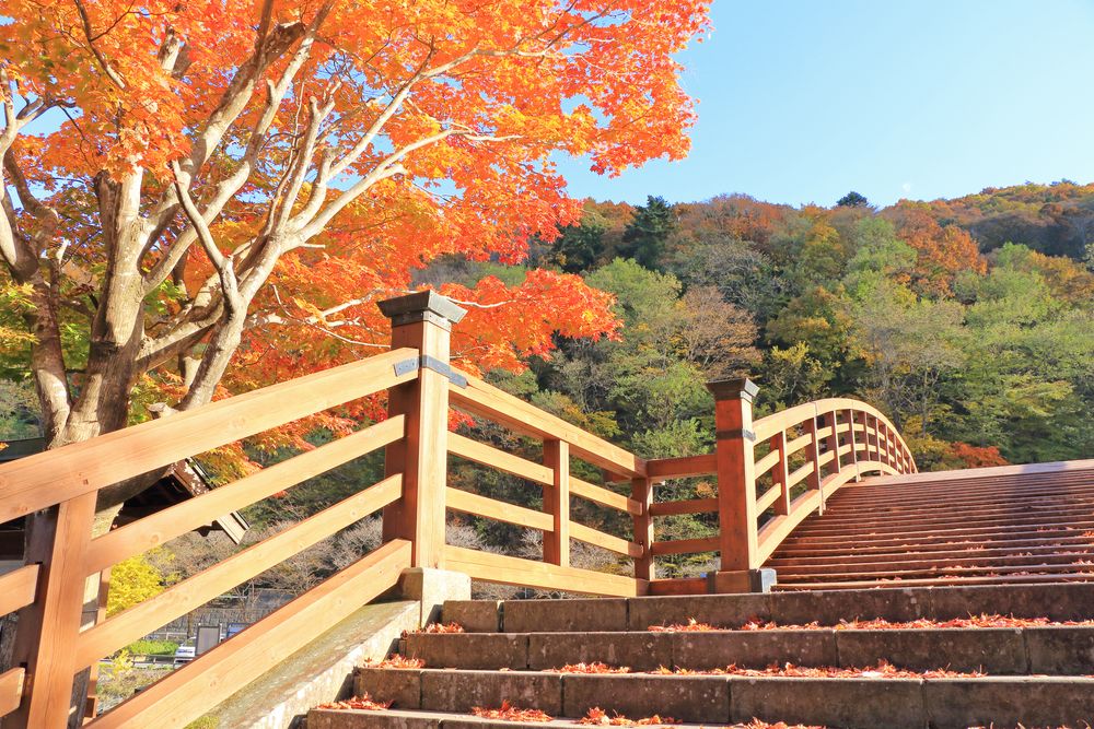 奈良井宿・木曽の大橋塩尻市観光協会