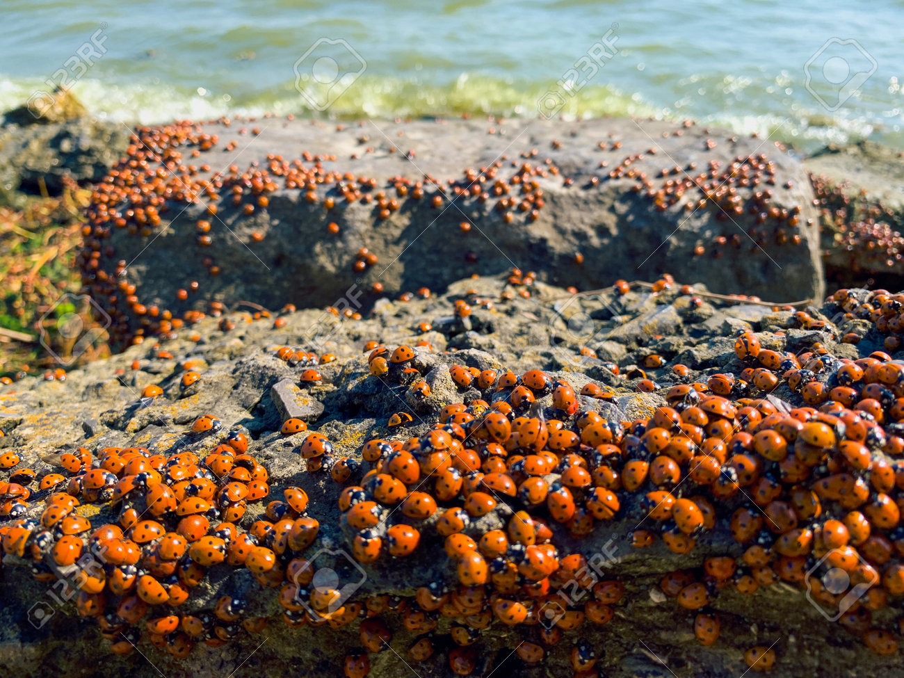 2,900点を超えるアゾフ海 写真のストックフォト、写真、そしてロイヤリティフリーの画像 - iStock