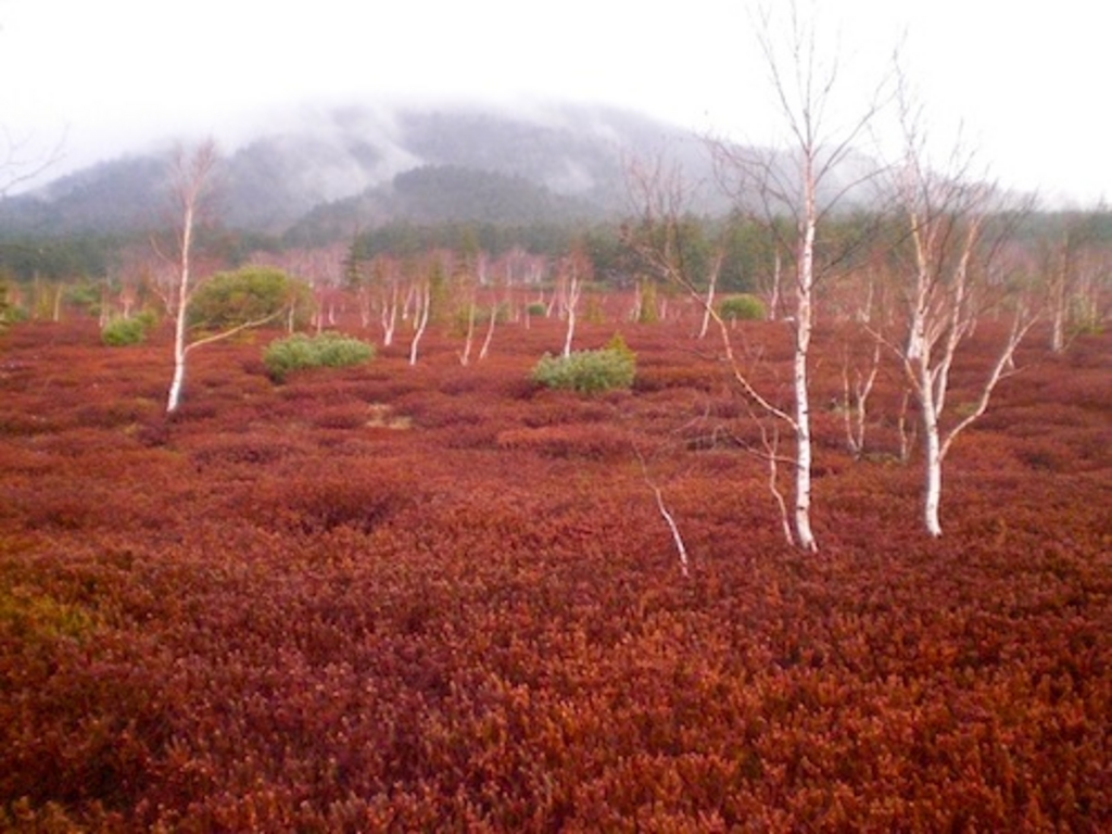 標茶駅に近いおすすめホテル・旅館 - 宿泊予約は
