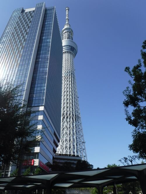 隅田川沿いを散歩』writer1623kita