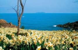 島根県：しまね景観賞ドライブマップ トップ環境・県土づくり自然・景観・動物景観しまね景観賞