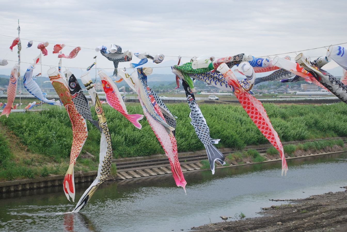 平塚市 第19回鈴川鯉のぼりまつりの開催にあわせて「ひらしん平塚文化芸術ホール」では2025年4月26日～5月6日まで特別展示がおこなわれます！号外NET 平塚市・大磯町