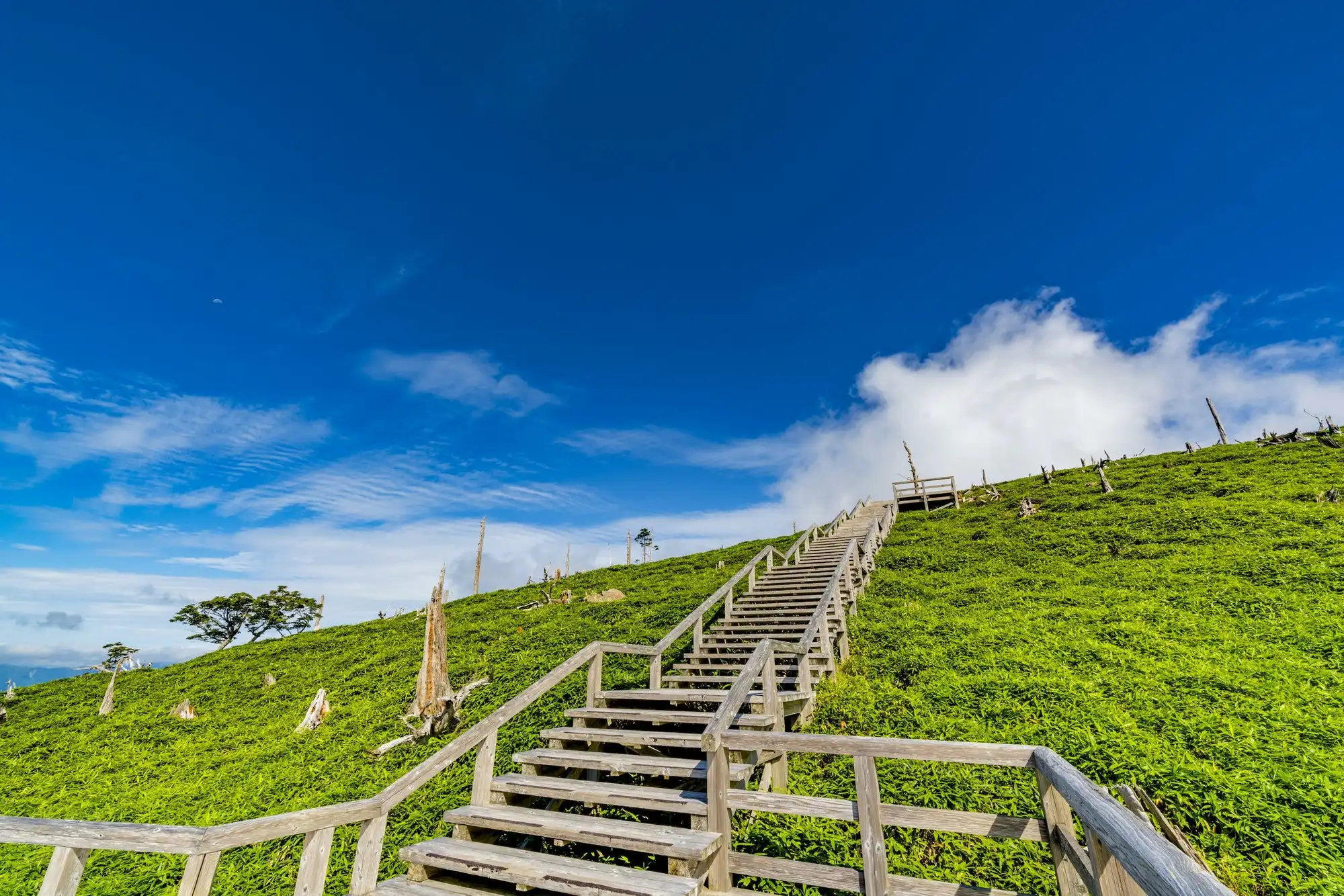 吉野熊野国立公園 クチコミ・アクセス・営業時間串本・古座川 フォートラベル