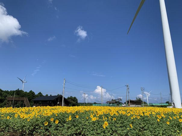 あわら夢ぐるま公園 - とるなら