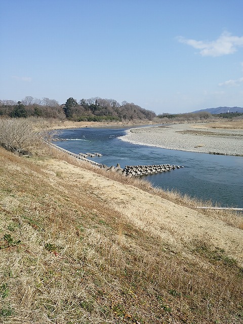 釣果情報～令和6年渓流～那珂川北部漁業協同組合 公式ホームページ 栃木県大田原市鮎釣り渓流釣り鮎ヤマメイワナ