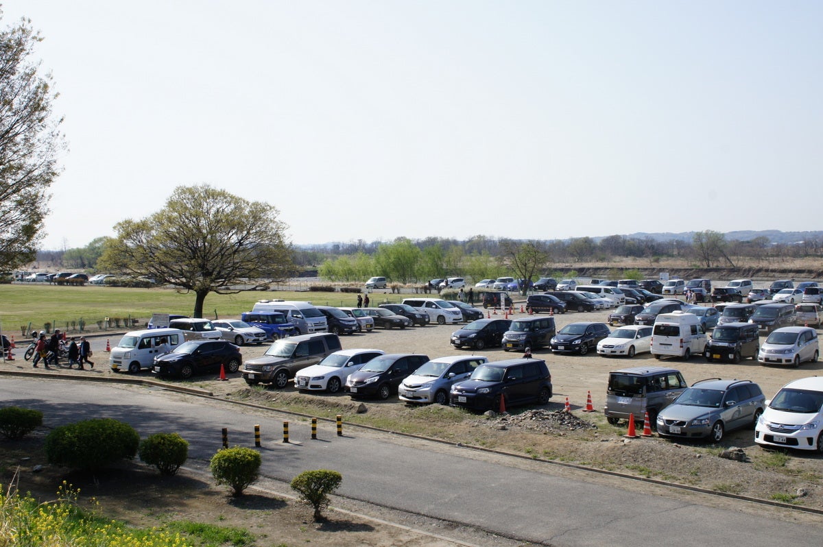 熊谷桜堤の桜 アクセス・営業時間・料金情報 - じゃらんnet