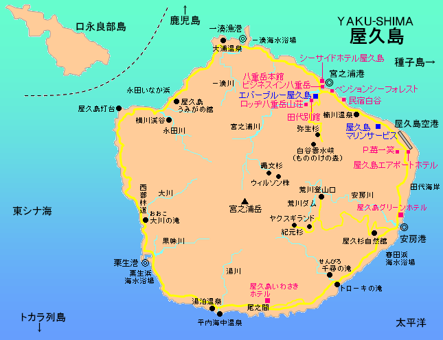 屋久島 やくしま