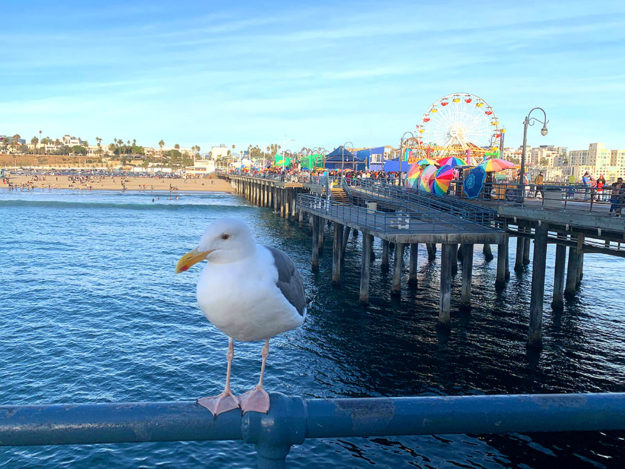 サンタモニカ☆桟橋の遊園地 - 朝時間.jp