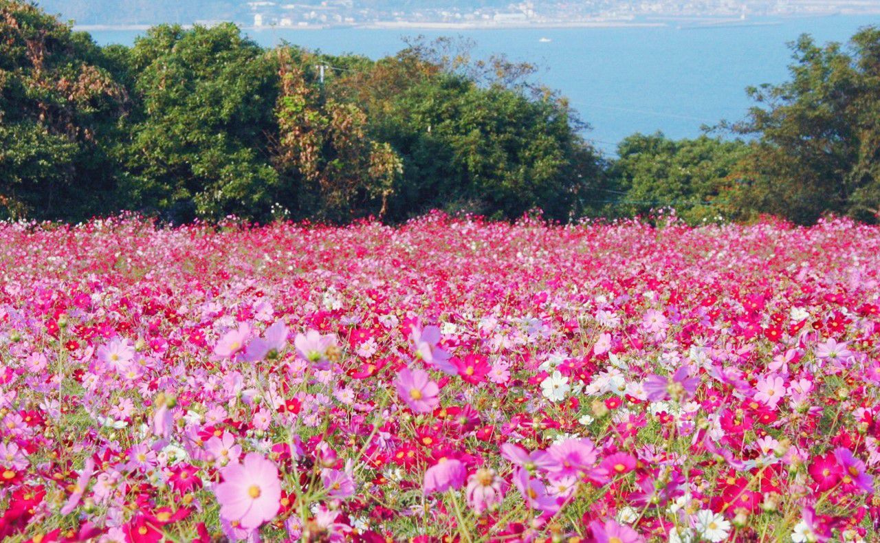 海のすぐそばの終点。「龍の宮」バス停フクリパ