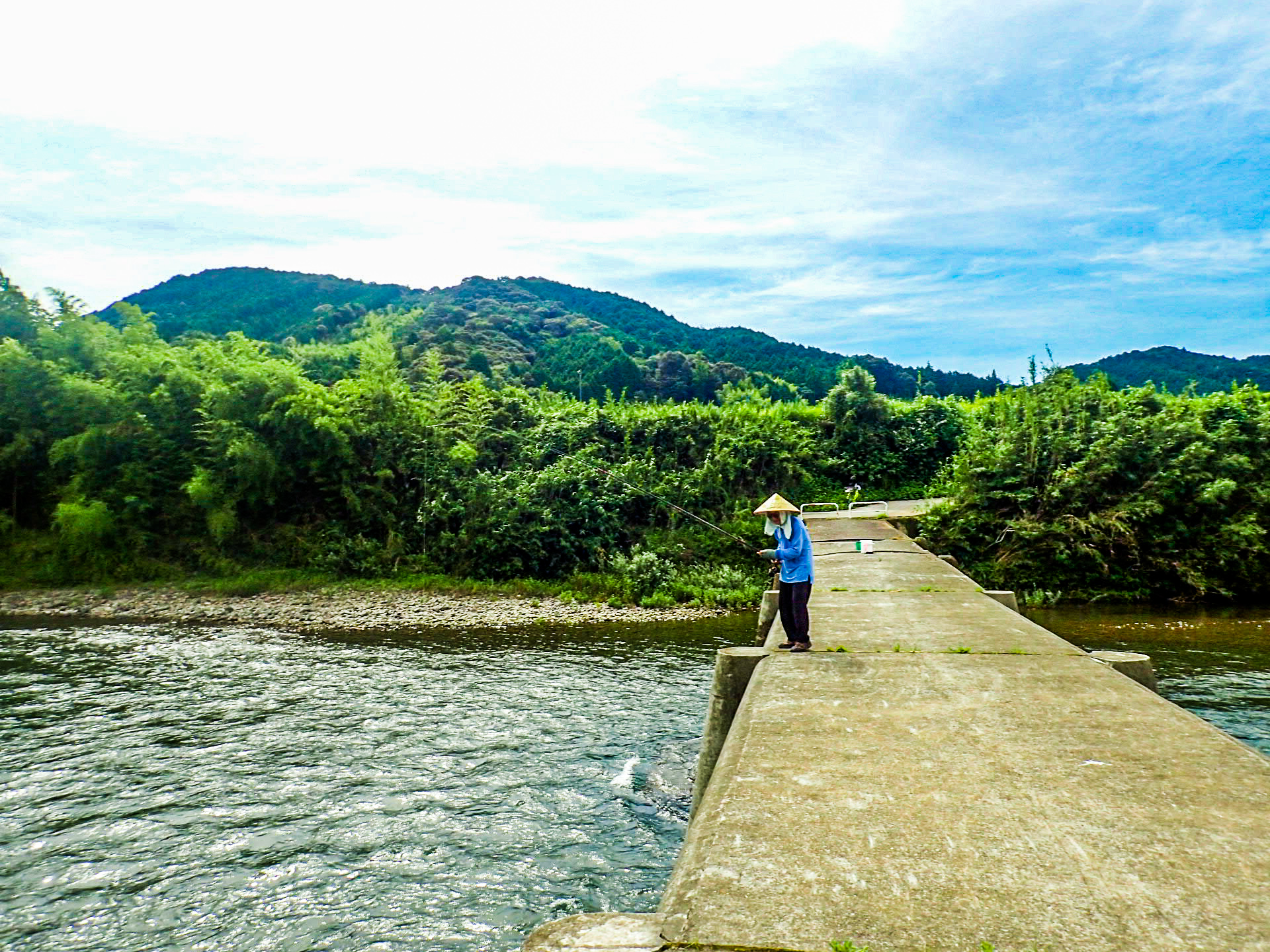 若井沈下橋 ２０１４初夏 - 四万十凸凹隊 ごぞまる絵日記