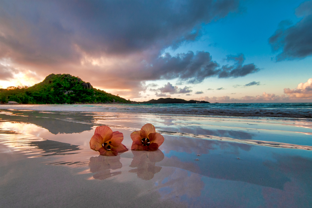 セーシェルの小首都ビクトリアGot2Globe