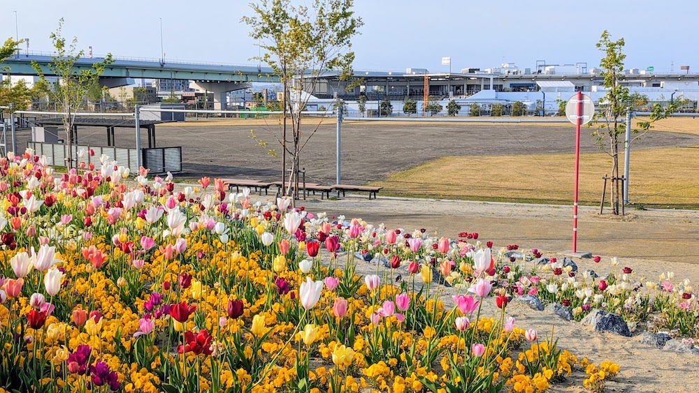 仙台市宮城野区 遊び疲れに絶景が染み渡る 仙台港を一望できる癒しの公園は絶好のまったりスポット！ 長谷川誠-