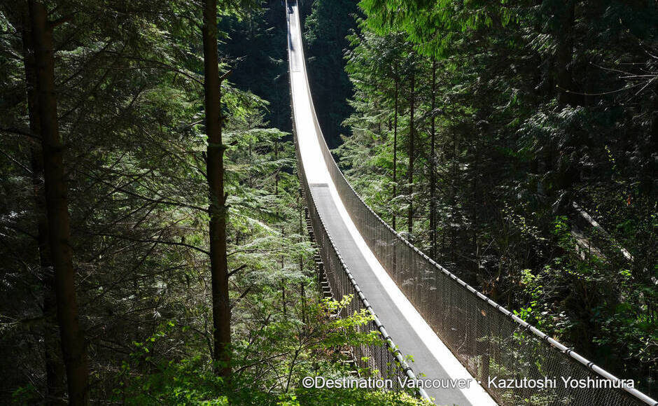 キャピラノ吊り橋公園、バンクーバーシティツア